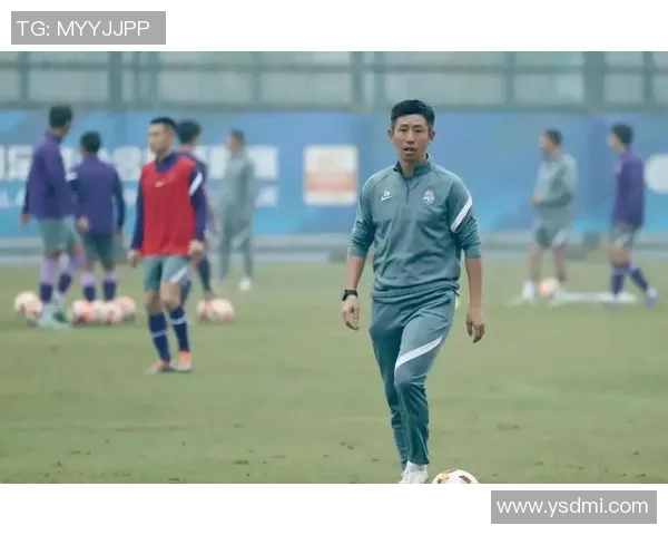 足球记者李璇深度解析中国足球现状与未来发展趋势